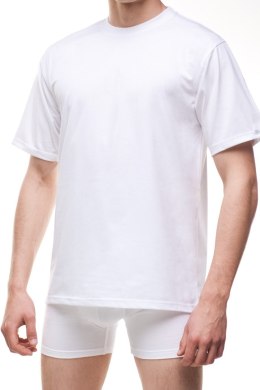 KOSZULKA AUTHENTIC 202 PLUS XL biały